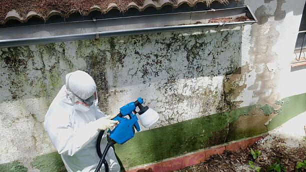 Trusted Mold Removal service in Winchester, TN - Cheap Mold Removal